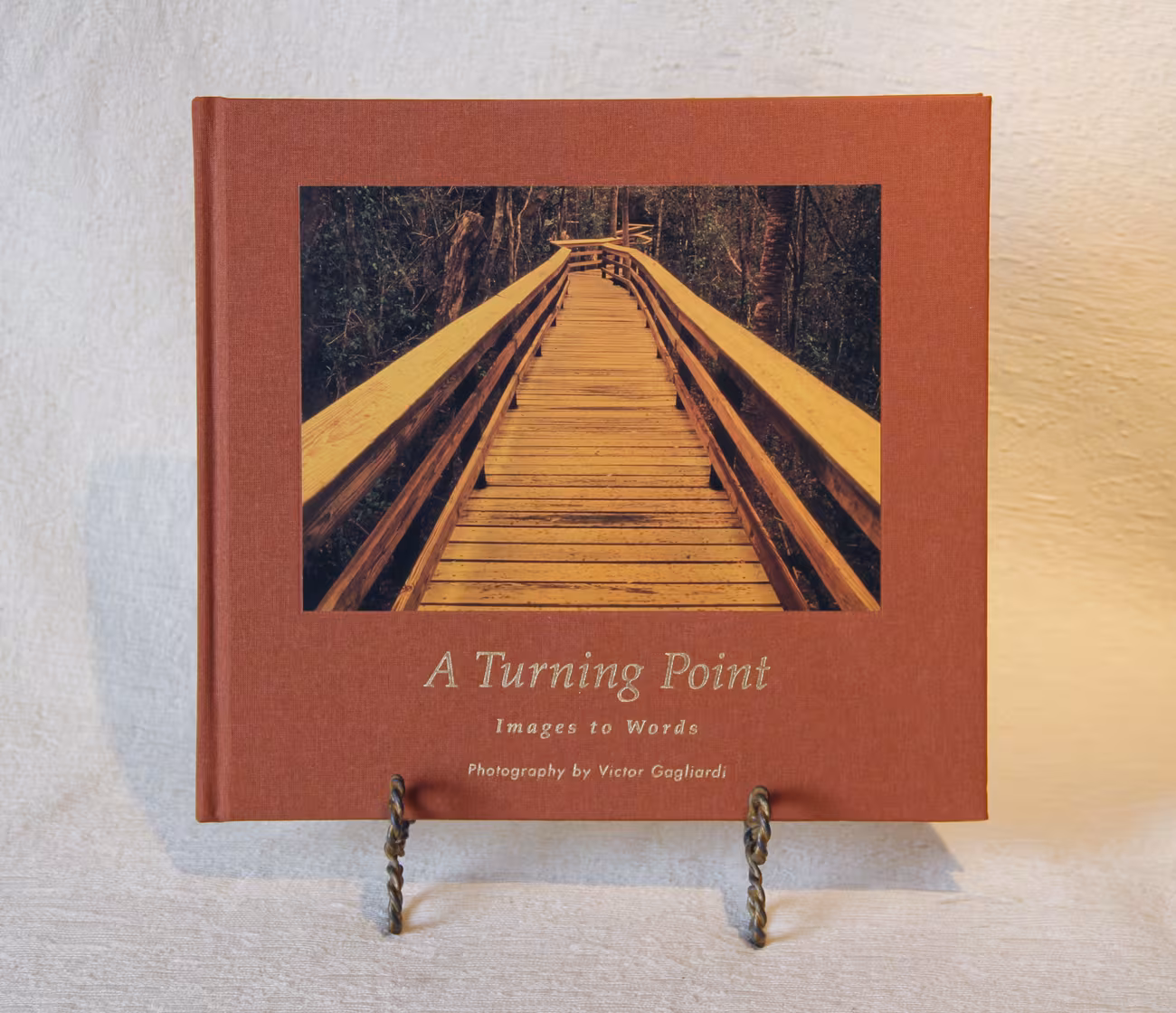 A Turning Point — cloth edition cover