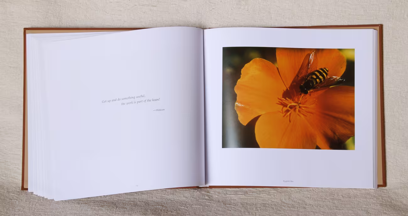 A Turning Point spread — bee on a poppy, facing Dickens