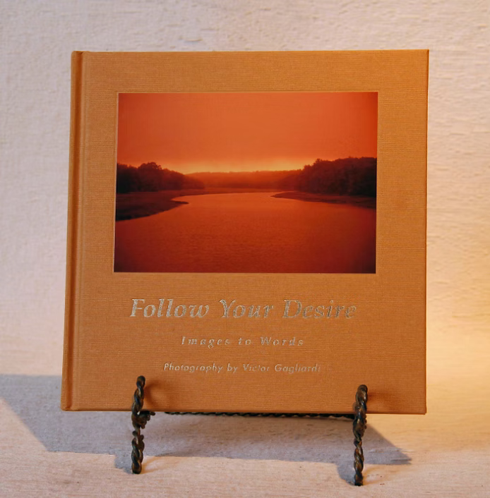 Follow Your Desire — cloth edition cover