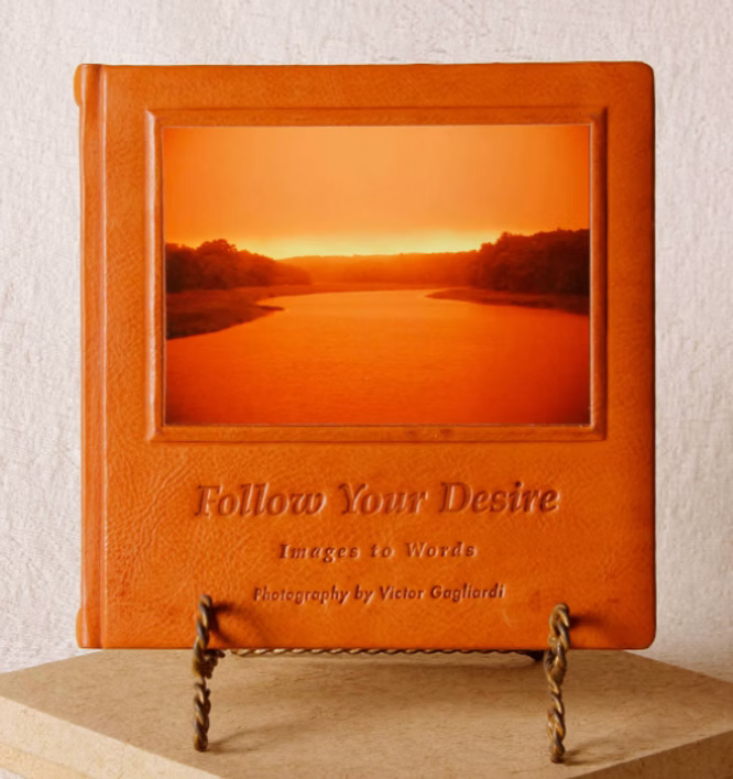 Follow Your Desire — leather edition cover