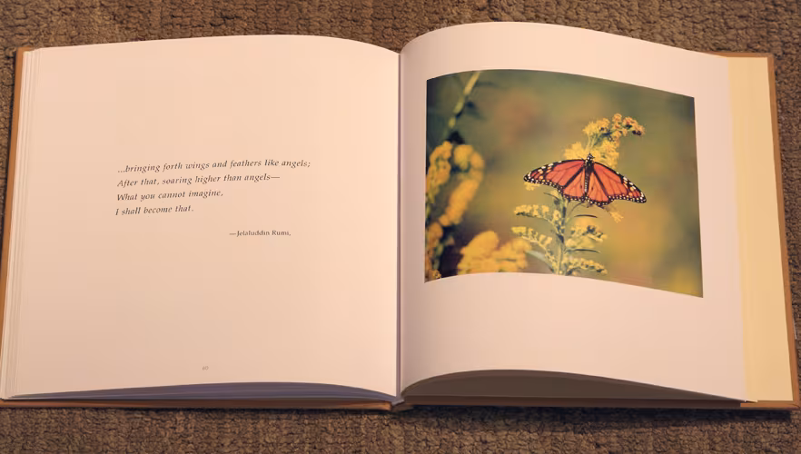 Follow Your Desire spread — monarch butterfly on goldenrod