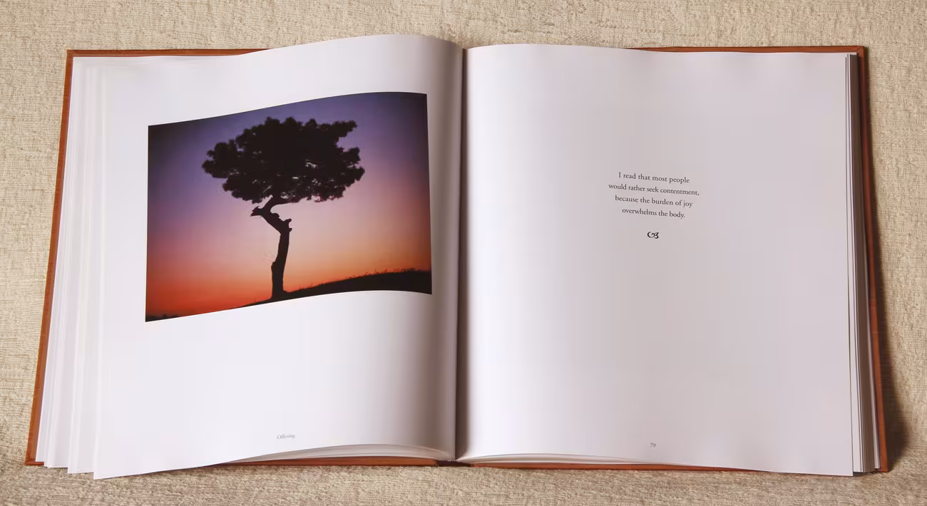 Opening Up spread — lone tree at dusk, Iskenderun