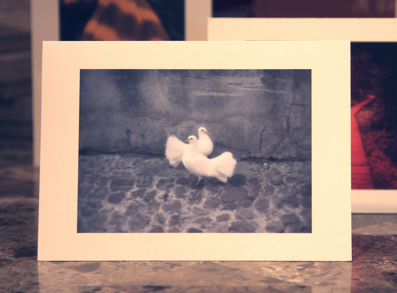 Doves card — two doves on a stone ledge