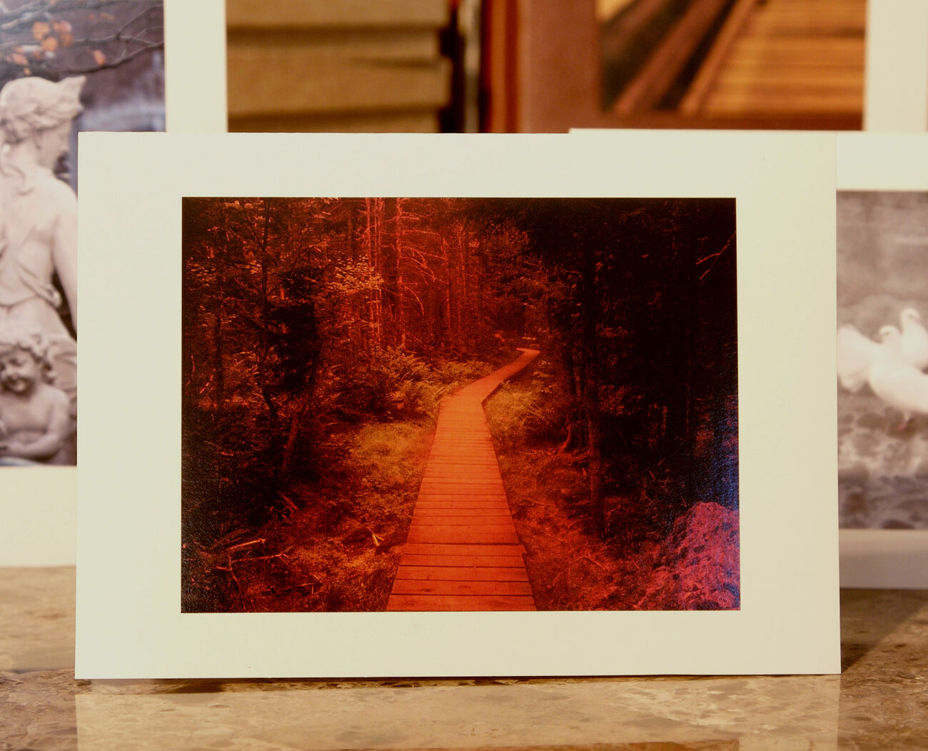 Walkway card — a boardwalk through autumn woods