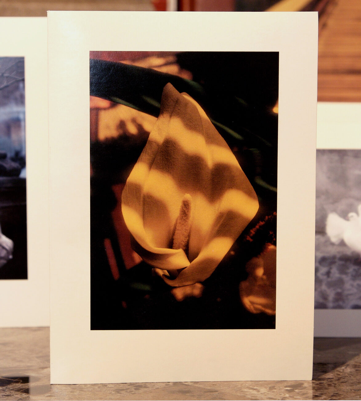 Calalily card — yellow calla lily