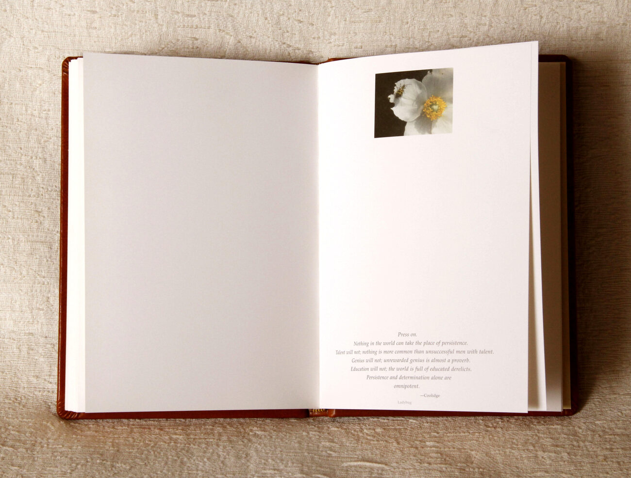 A Journal for Life — an opening, white blossom facing a passage